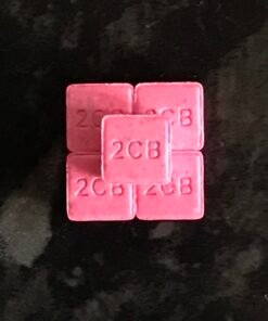 KOOP 2 C-B ONLINE