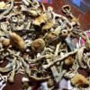 Koop Gouden Leraar paddenstoel online